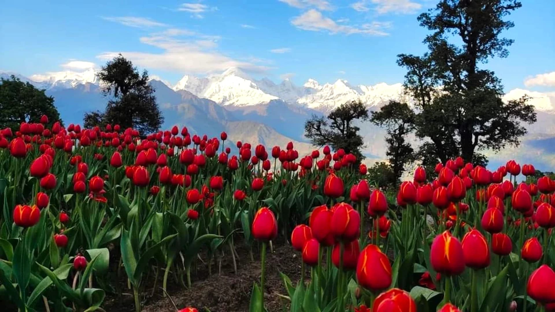Spring in the Himalayas & Sacred Trails - Garhwal, Kumaon & Sacred River Valleys - Adventure Trips India
