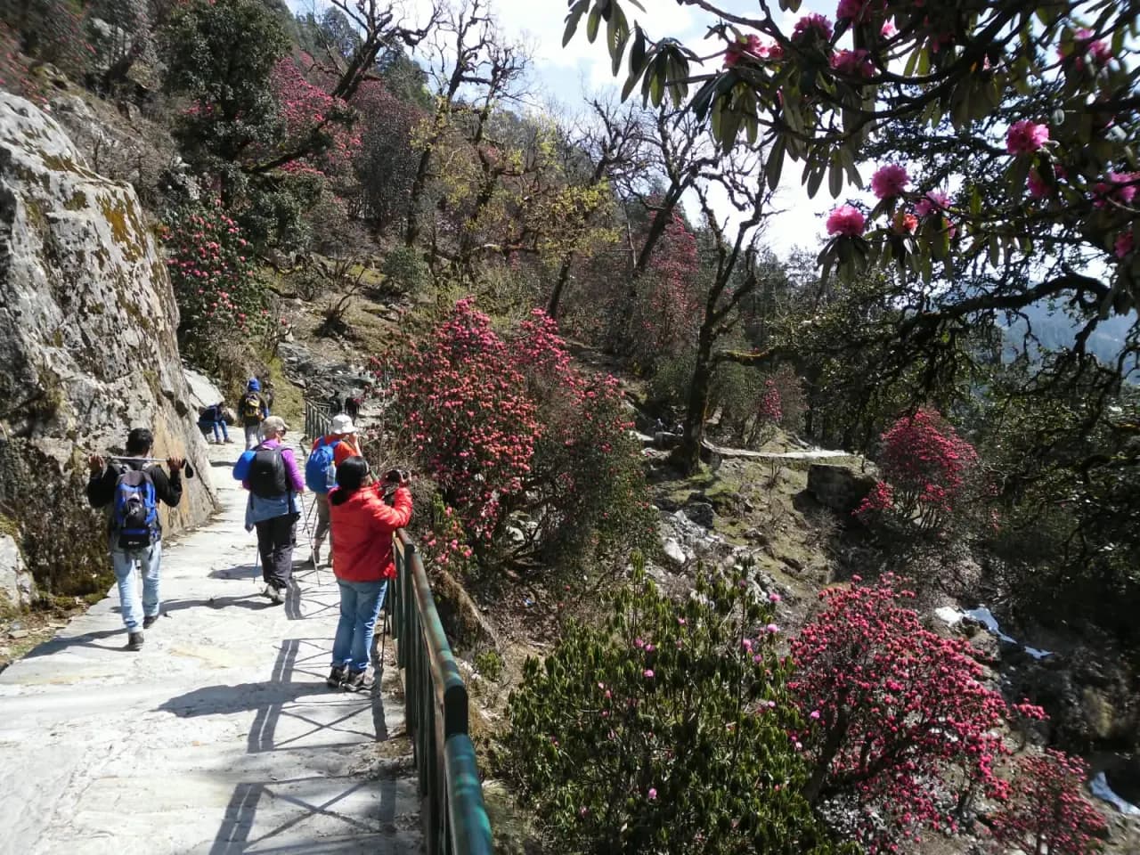 Chopta Tungnath & Chandrashila Summit Trek Photo 3