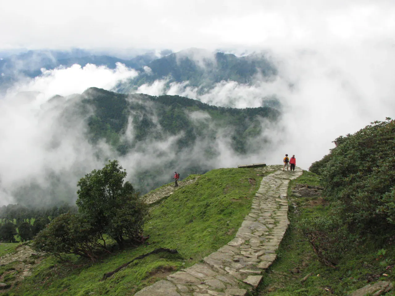 Chopta Tungnath & Chandrashila Summit Trek Photo 2