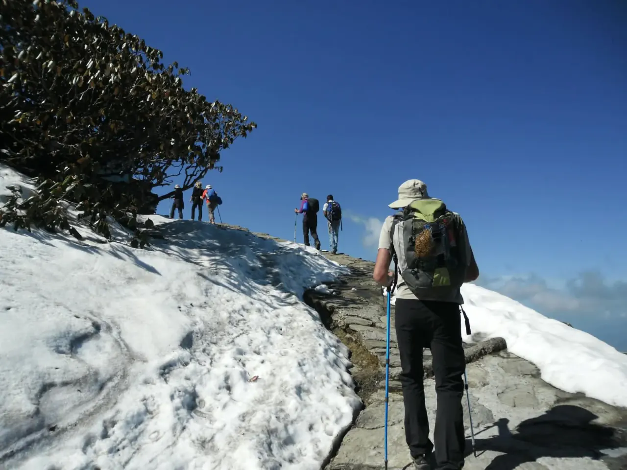 Chopta Tungnath & Chandrashila Summit Trek - Deoriatal - Chopta - Tungnath - Chandrashila - Adventure Trips India