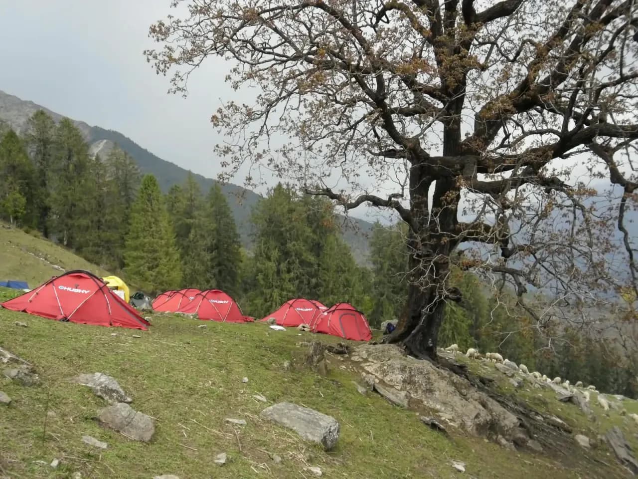 Kuari Pass Trek (The Curzon Trail) Photo 6