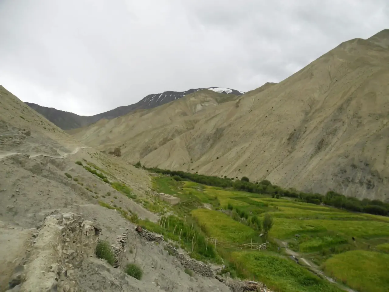 Markha Valley Trek Photo 2
