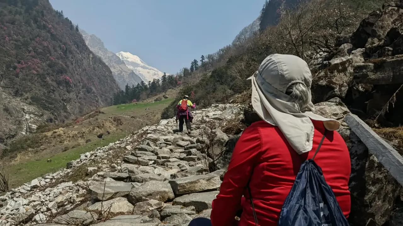 Pindari Glacier Trek (Rhododendron Trek) Photo 4
