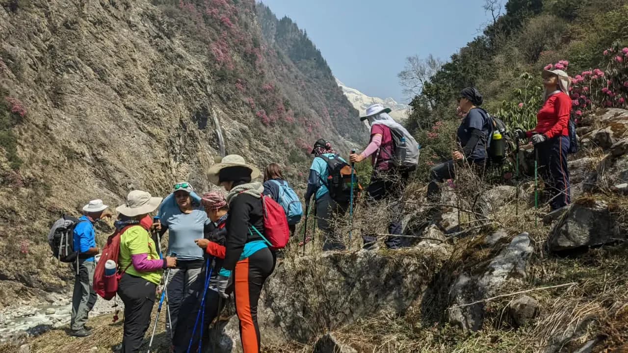 Pindari Glacier Trek (Rhododendron Trek) Photo 5