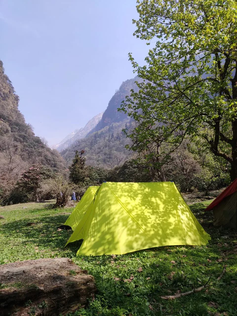 Pindari Glacier Trek (Rhododendron Trek) Photo 8
